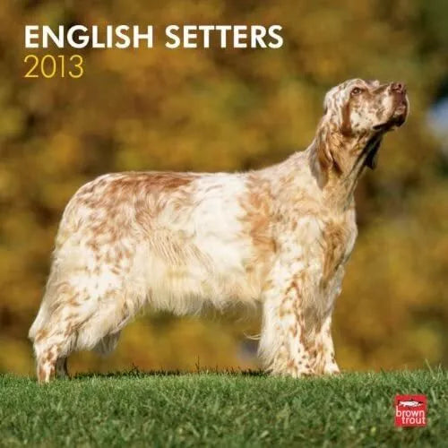 (12x12) English Setters - 2013 Wall Calendar