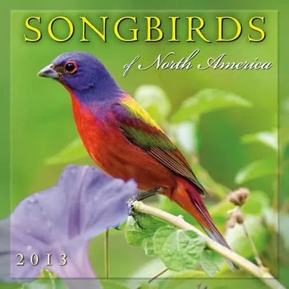 (12x12) Songbirds of North America - 2013 12-Month Calendar