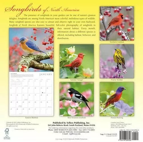 (12x12) Songbirds of North America - 2013 12-Month Calendar