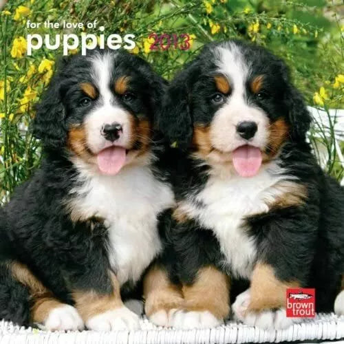 (7x7) Puppies, For The Love Of - 2013 Mini Calendar