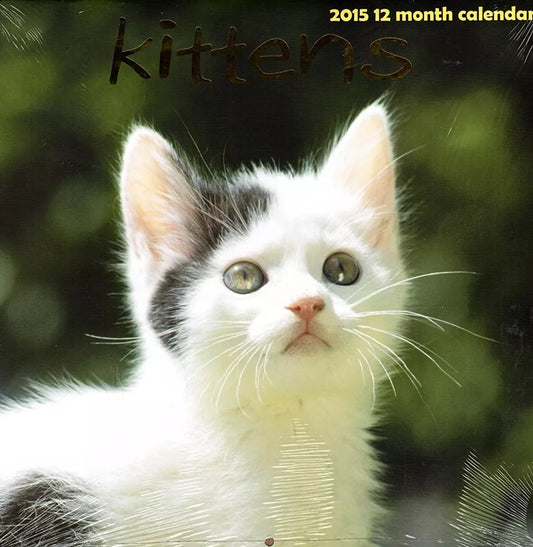 Kittens - 2015 12 Month Wall Calendar