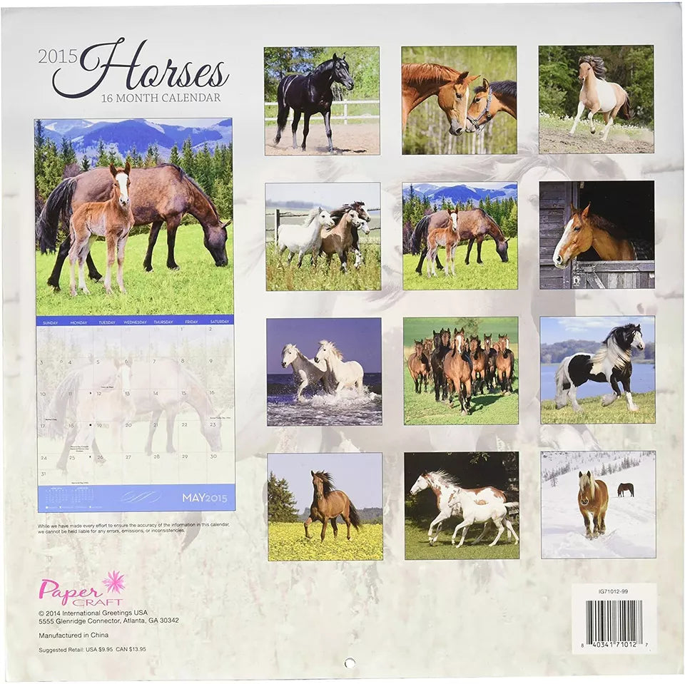 2015 Wall Calendar - 16 Month Horses Design