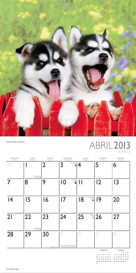 Cachorros/Puppies 2013 Calendar