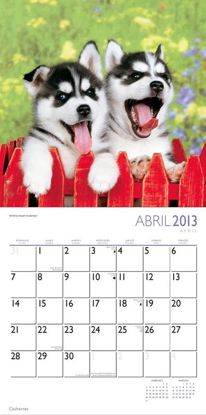 Cachorros/Puppies 2013 Calendar