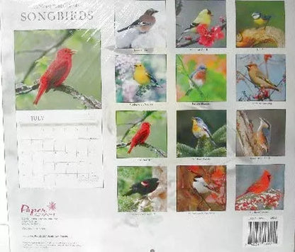 2014 Songbirds16 Month Wall Calendar 12 X 11 Inches