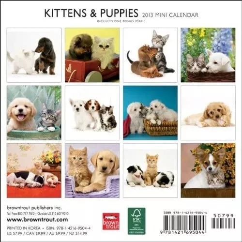 Kittens & Puppies 2013 Small Wall Calendar