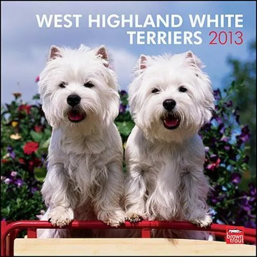 2013 Calendar West Highland White Terriers 2013 Wall Calendar