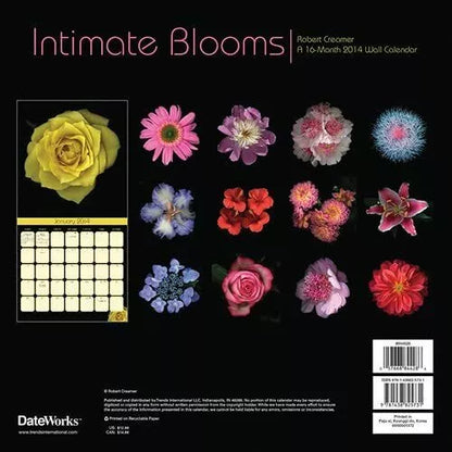 Intimate Blooms by Robert Creamer 2014 Wall Calendar