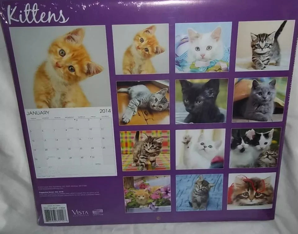 2014 Kittens 16 Month Wall Calendar Small & Large