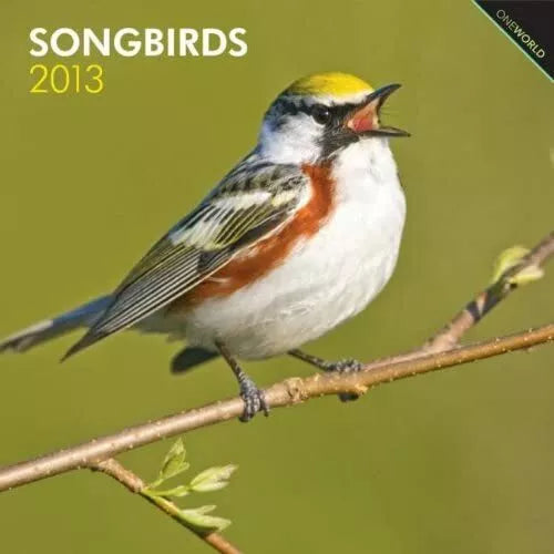 (12x12) Songbirds - 2013 Wall Calendar