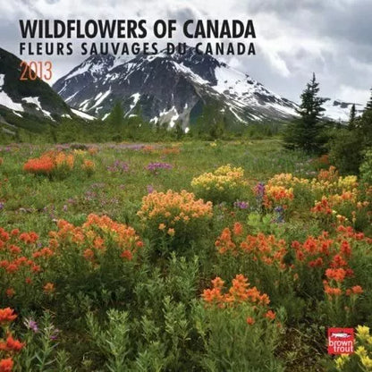 Wildflowers Of Canada/Fleurs Sauvages Du Canada 2013 Wall Calendar 12" X 12"