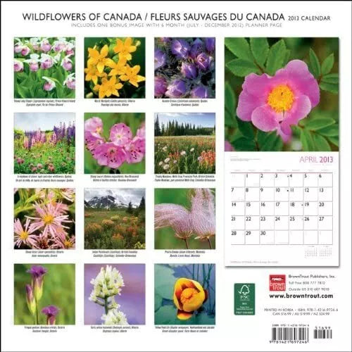 Wildflowers Of Canada/Fleurs Sauvages Du Canada 2013 Wall Calendar 12" X 12"