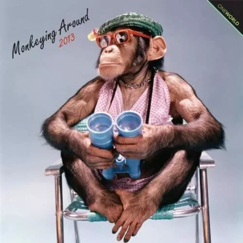 (12x12) Monkeying Around 12-Month 2013 Wall Calendar