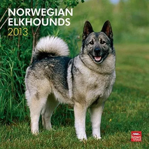 2013 Calendar Norwegian Elkhounds 2013 Wall Calendar