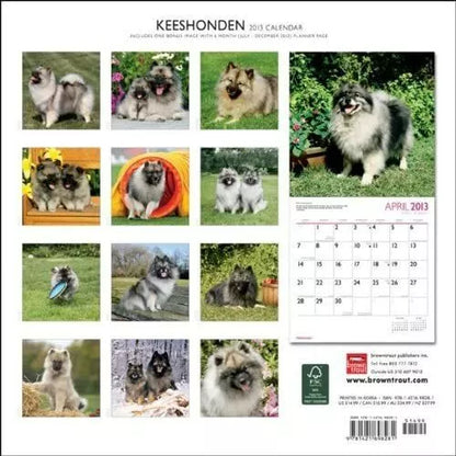 Keeshonden 2013 Wall Calendar