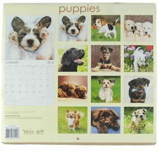 2014 Puppies 16 Month Wall Calendar