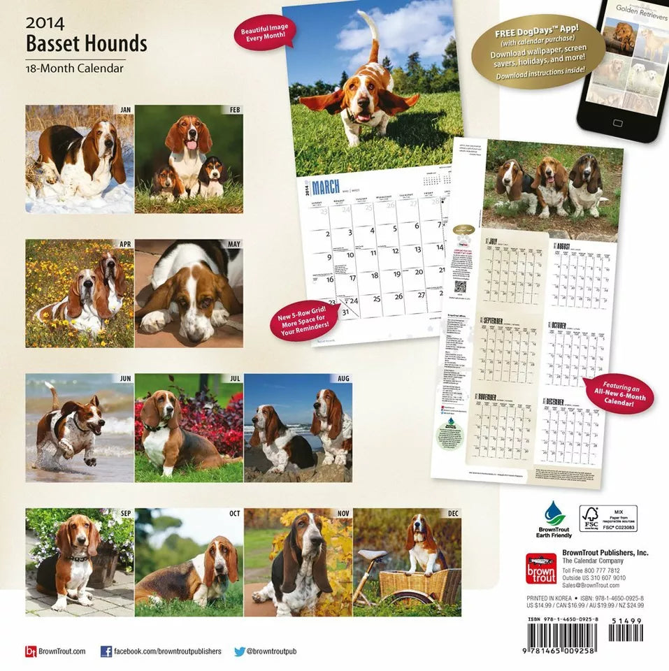 Basset Hounds 2014 18-Month Calendar (Multilingual Edition)