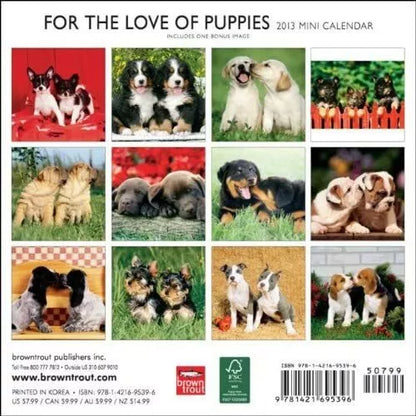 (7x7) Puppies, For The Love Of - 2013 Mini Calendar