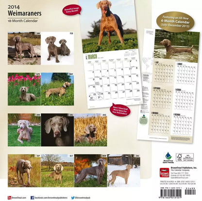 Weimaraners - 2014 Calendar