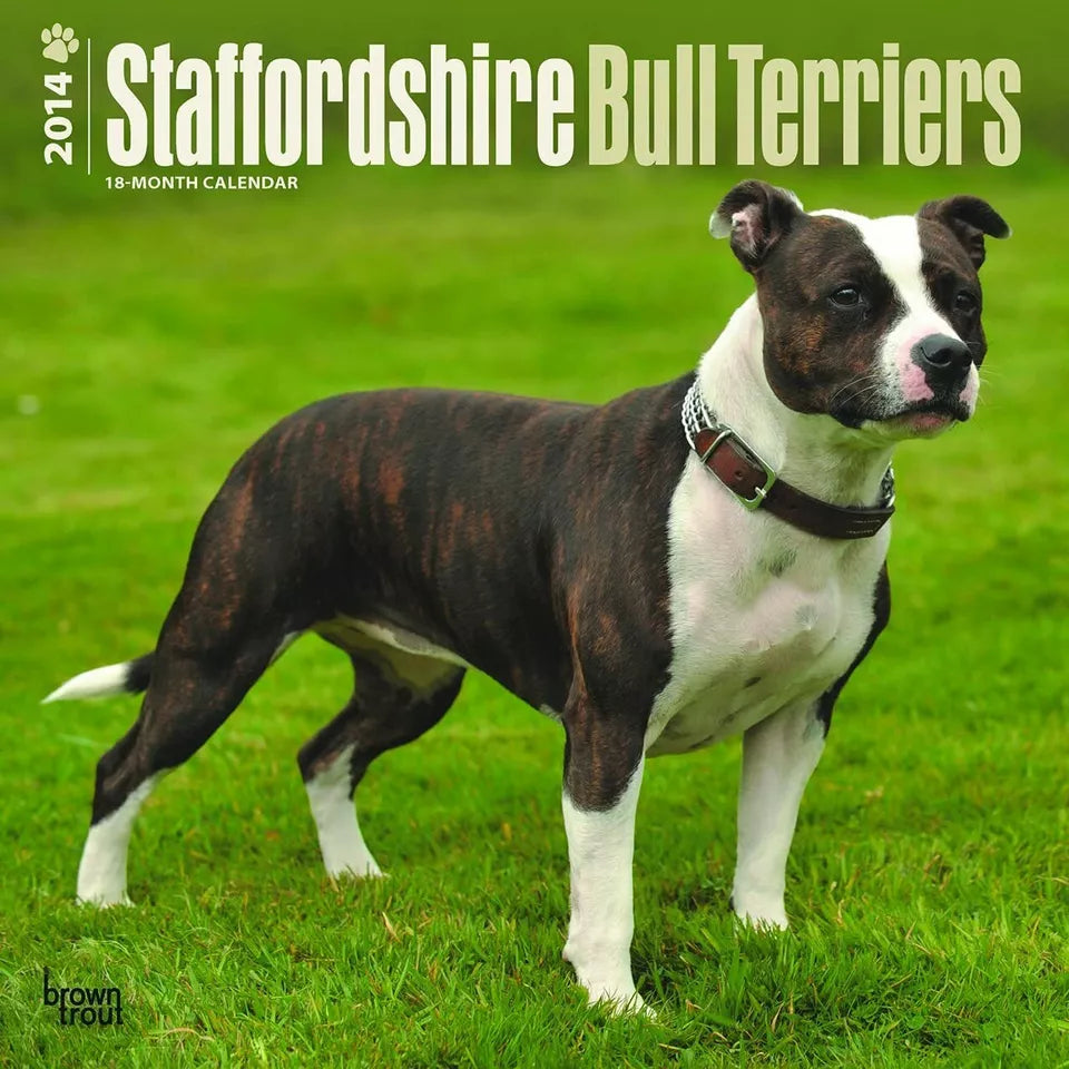 Staffordshire Bull Terriers 2014 Wall Calendar