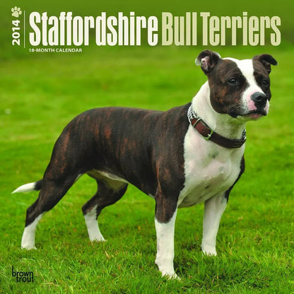 Staffordshire Bull Terriers 2014 Wall Calendar