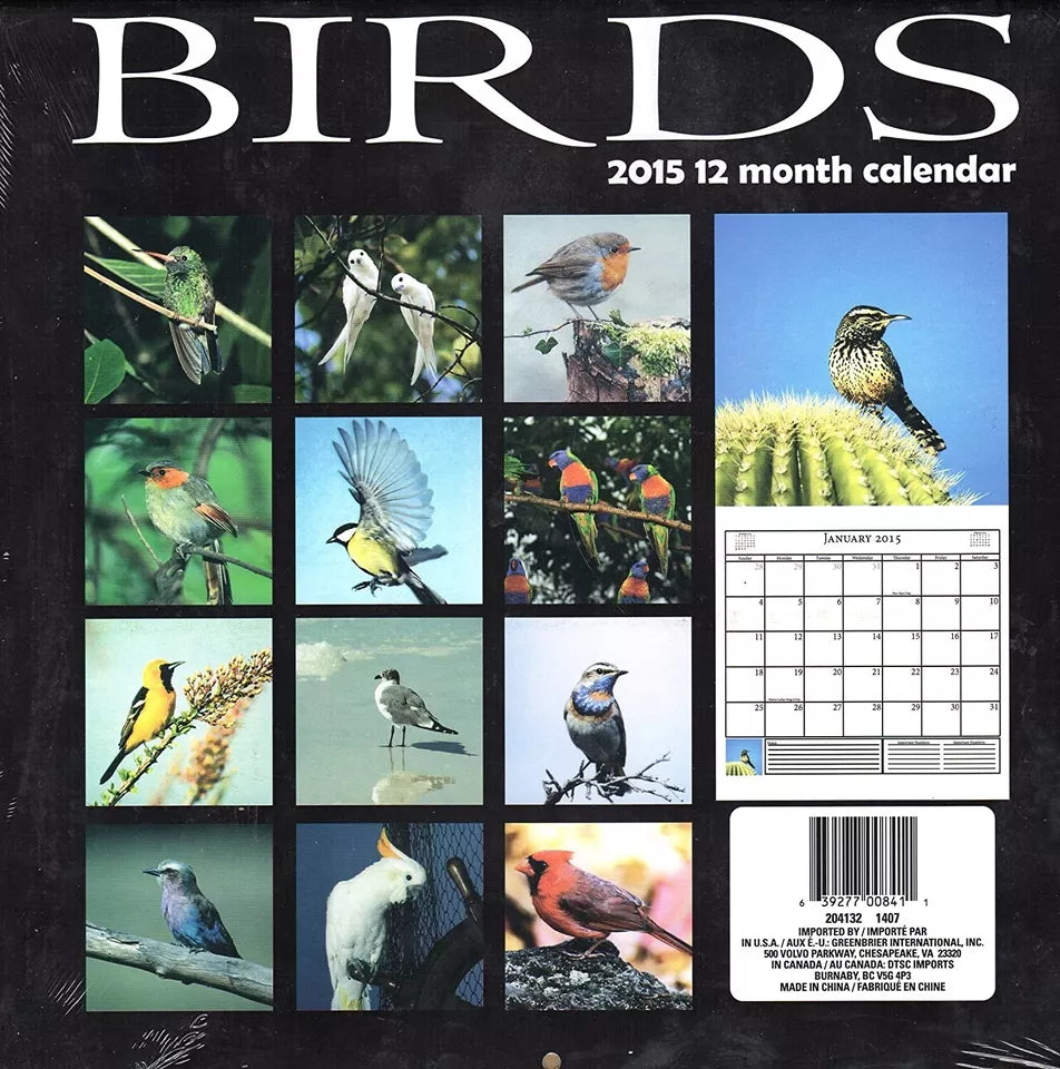 Birds - 2015 12 Month Wall Calendar