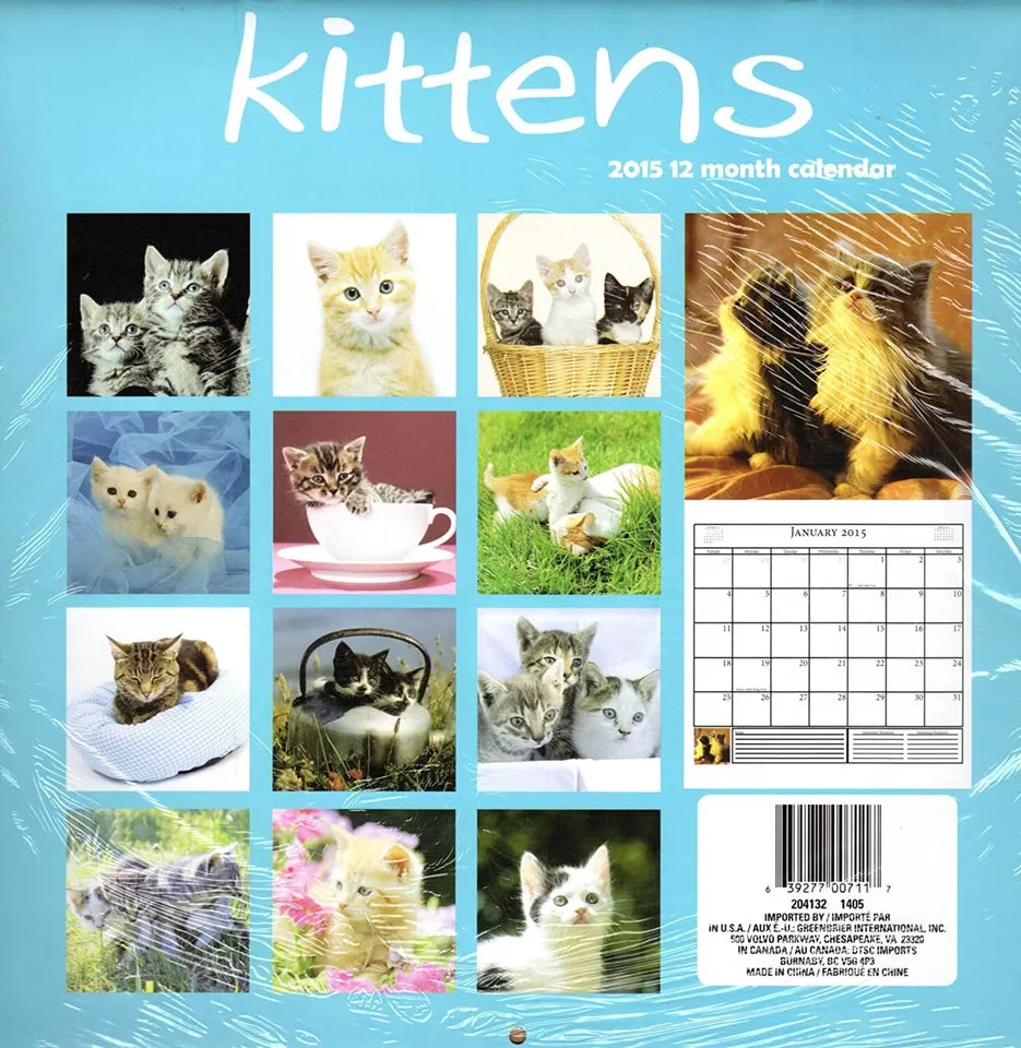 Kittens - 2015 12 Month Wall Calendar