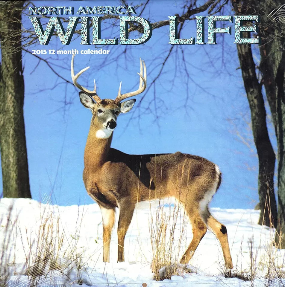 North America Wild Life - 2015 12 Month Wall Calendar