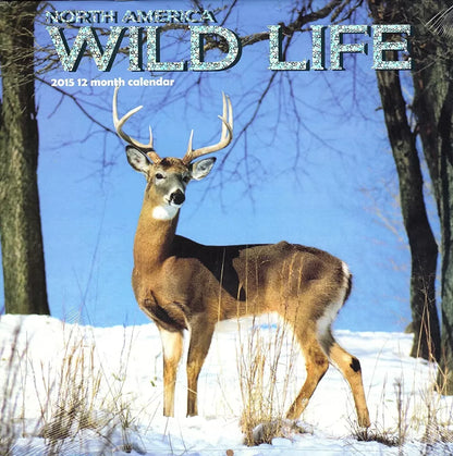 North America Wild Life - 2015 12 Month Wall Calendar