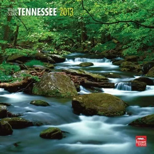 (12x12) Tennessee, Wild & Scenic - 2013 Wall Calendar