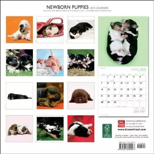 (12x12) Newborn Puppies - 2013 Wall Calendar