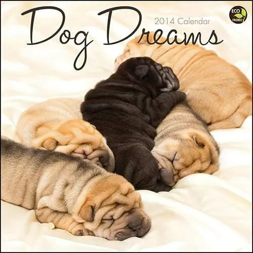 Dog Dreams 2014 Wall Calendar