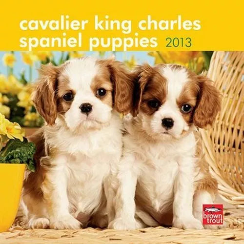 2013 Calendar Cavalier King Charles Spaniel Puppies 2013 Mini Wall Calendar