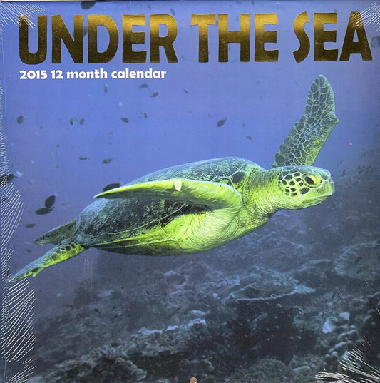 Under The Sea - 2015 12 Month Wall Calendar