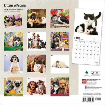 Kittens & Puppies 2015 Wall Calendar