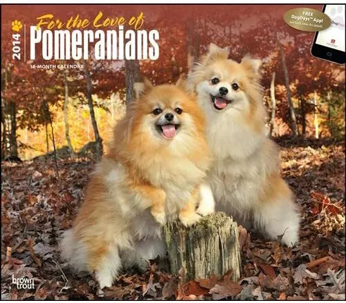 Pomeranians 2014 Deluxe Wall Calendar