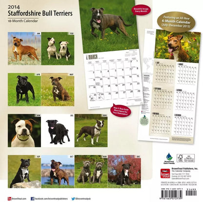 Staffordshire Bull Terriers 2014 Wall Calendar