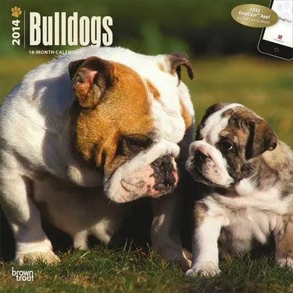 Bulldogs - 18 Month - 2014 Calendar