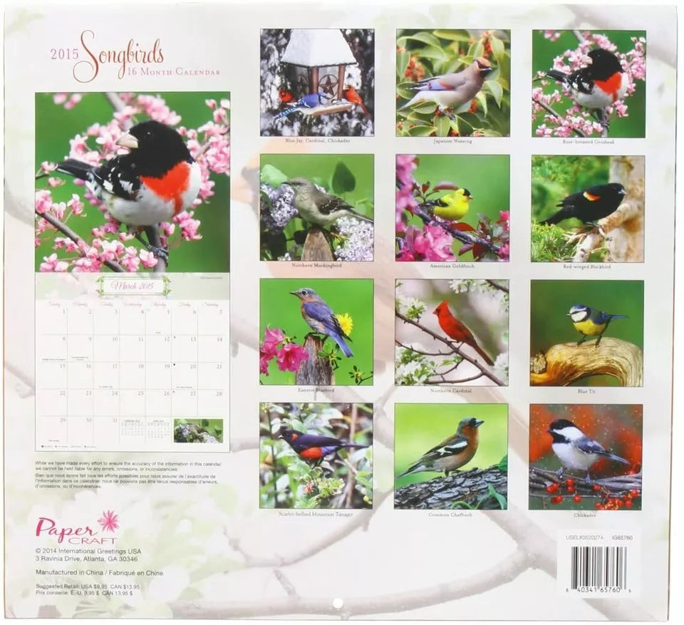 2015 Wall Calendar - 16 Month Songbirds Design