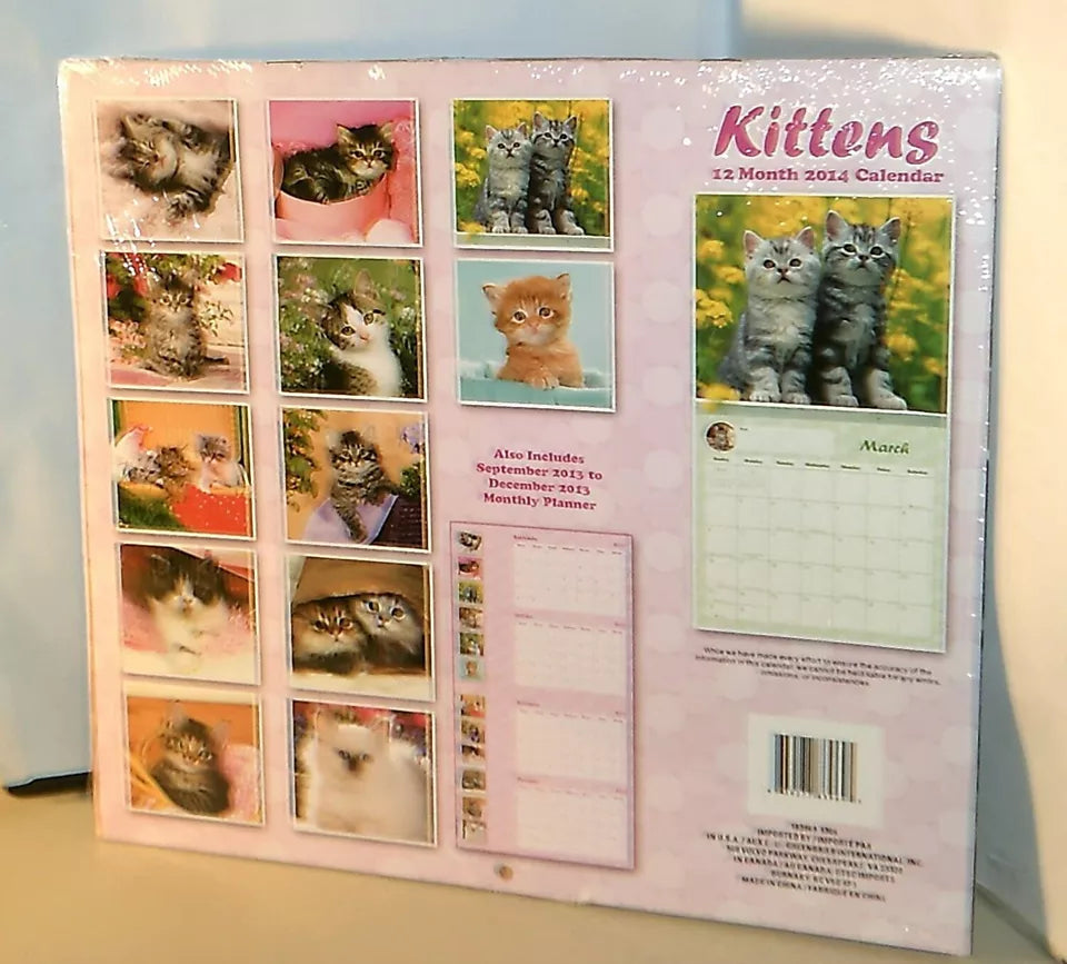 Kittens 2014 12 Month Calendar