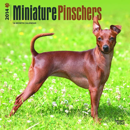 Miniature Pinschers - 2014 Calendar