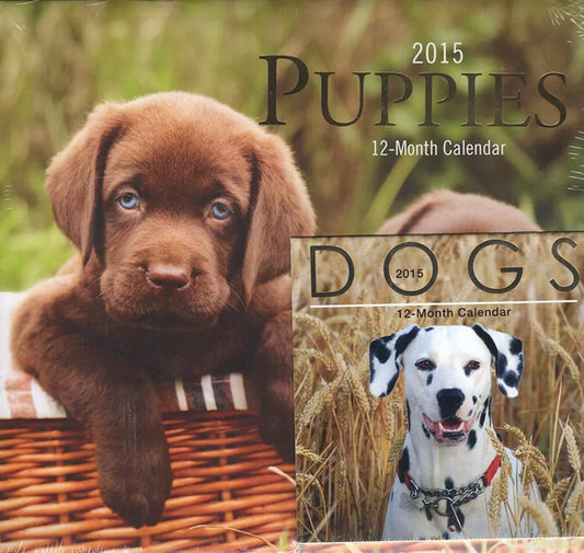 2015 Puppies 12 Month Calendar Includes 12 Month Mini Calendar