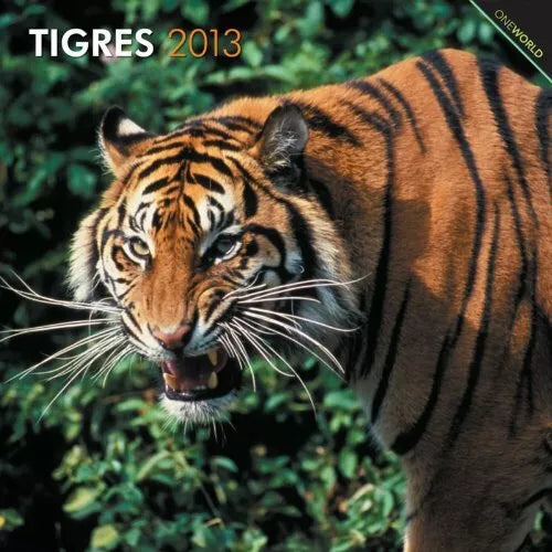 Tigres 2013 Calendar