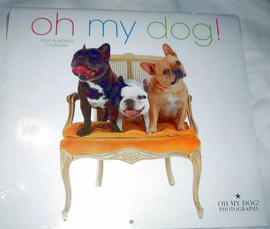 Oh My Dog! 2014 16 Month Wall Calendar