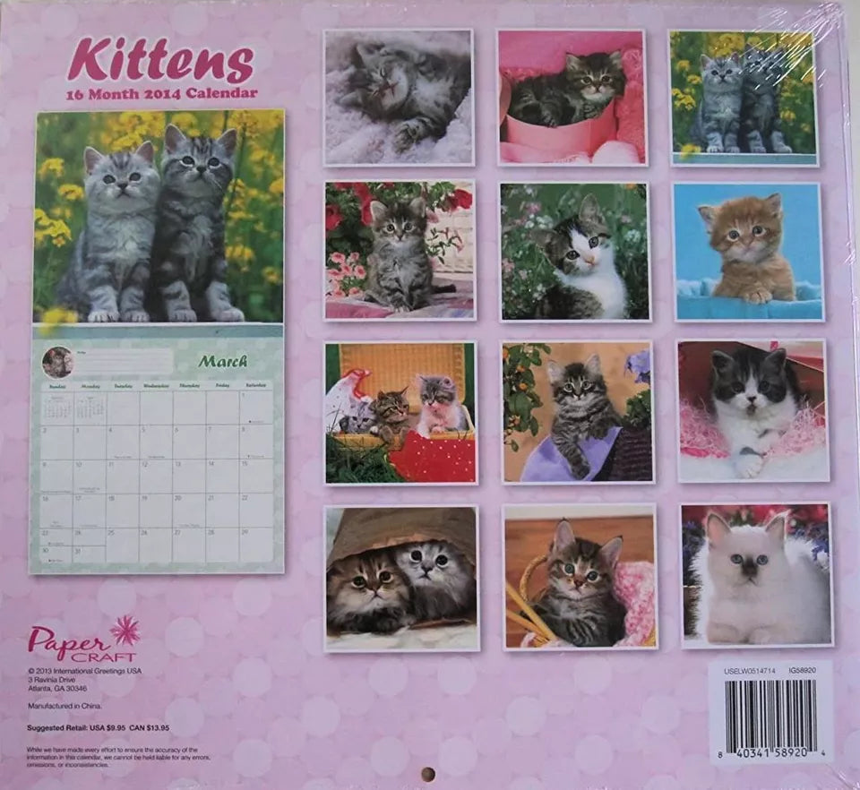 2014 Kittens 16 Month Wall Calendar 12 X 11 Inches