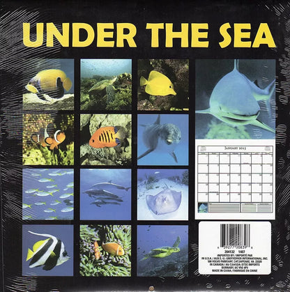 Under The Sea - 2015 12 Month Wall Calendar