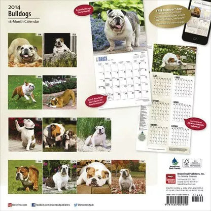 Bulldogs - 18 Month - 2014 Calendar