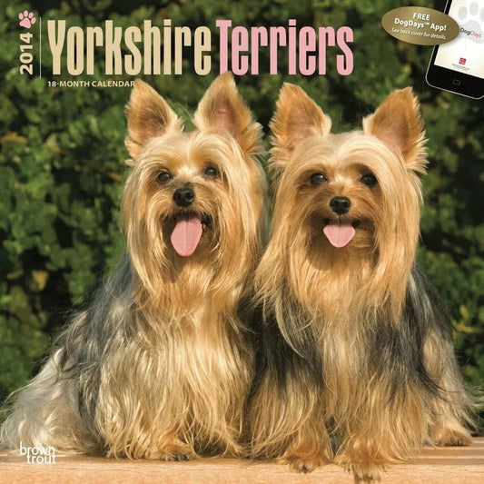 Yorkshire Terriers 2014 Wall Calendar