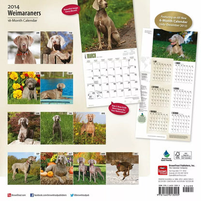 Weimaraners 2014 Calendar 11.75 x 0.25 x 11.75 inches