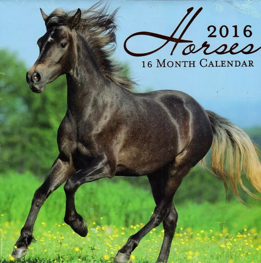 2016 Horses 16 Month Wall Calendar